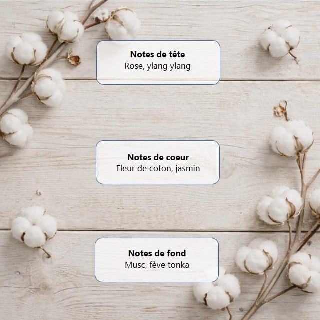 Format éco fleur de coton