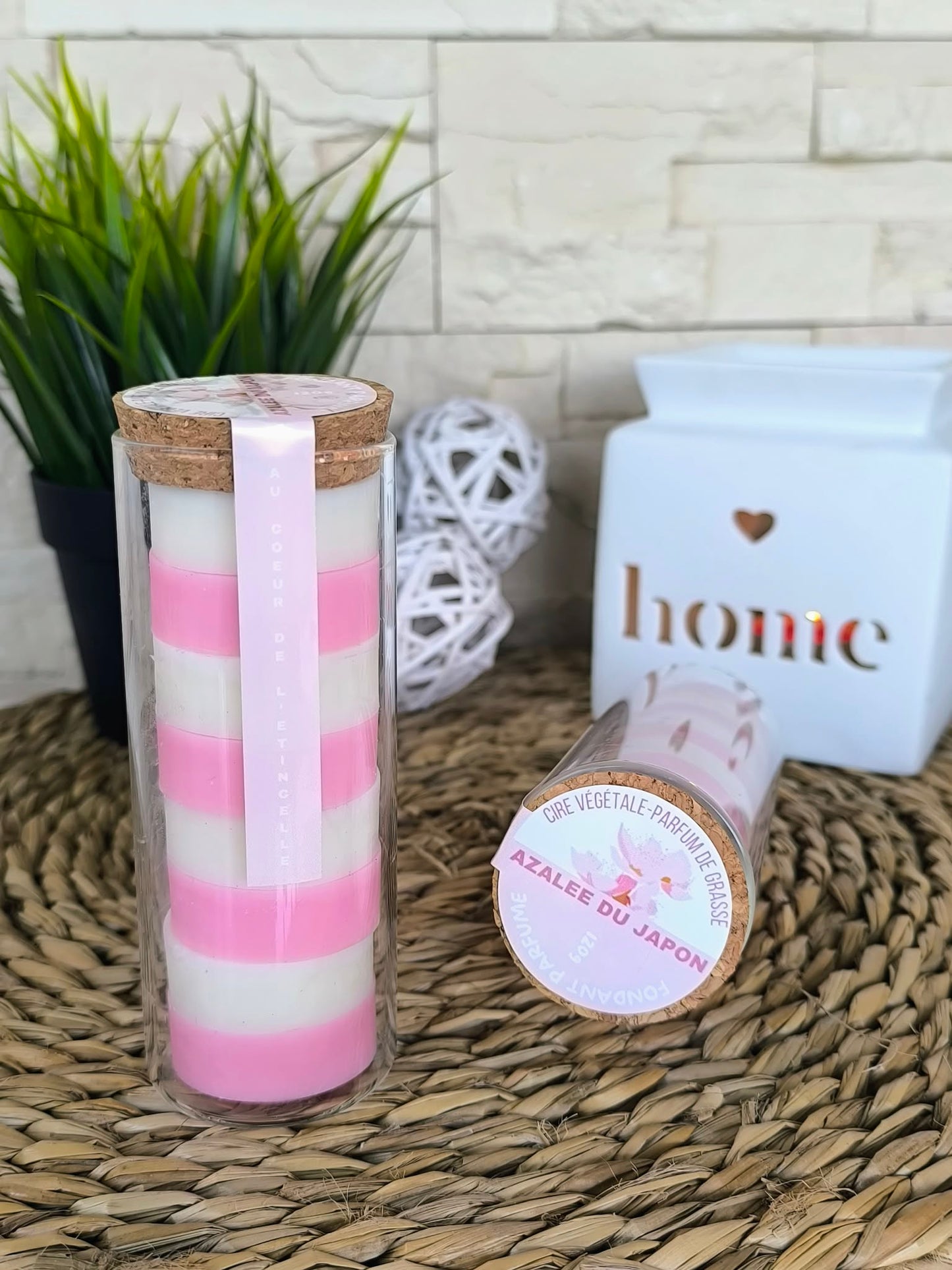 Format éco azalée du Japon